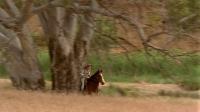 Click to watch 'Magnetic Attraction' (popup) McLeods Daughters